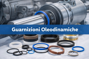 GUARNIZIONI PER OLEODINAMICA: tenute idrauliche per cilindri, profili e scelta corretta