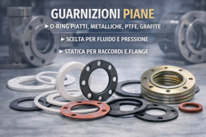 guarnizioni piane